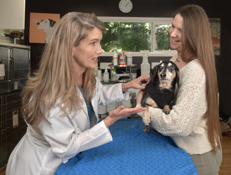 Plans & Pricing Animal Internal Medicine Consultants